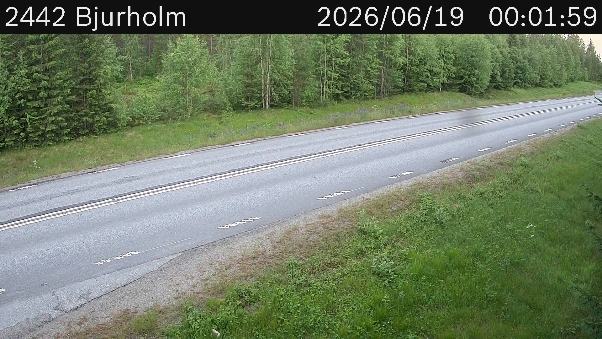 Bjurholm