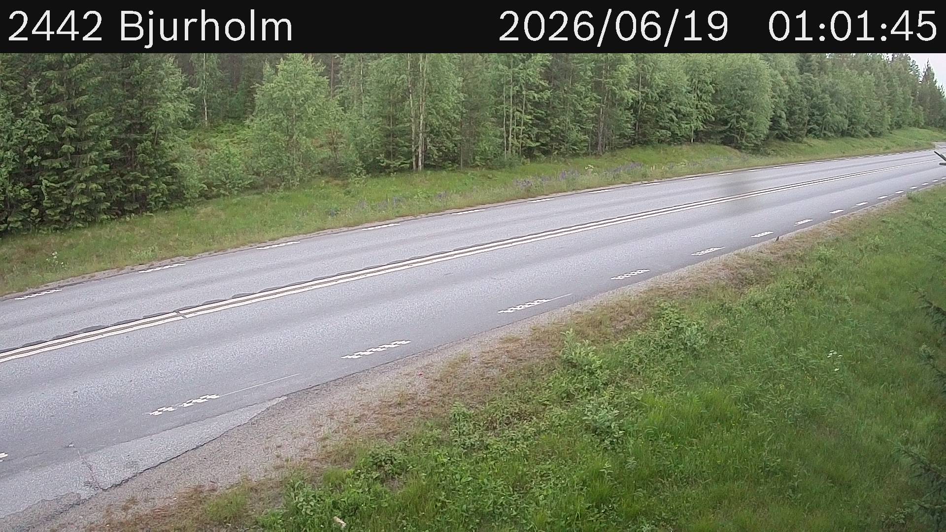 Bjurholm