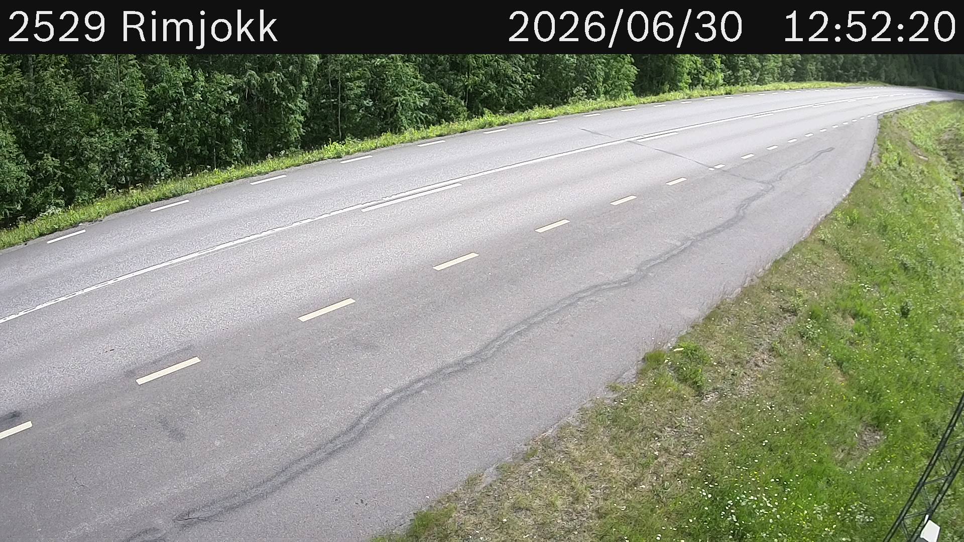Rimjokk