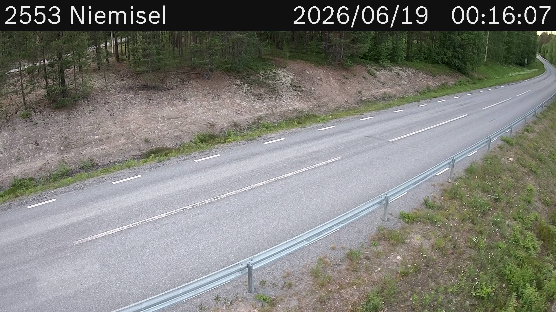 Niemisel