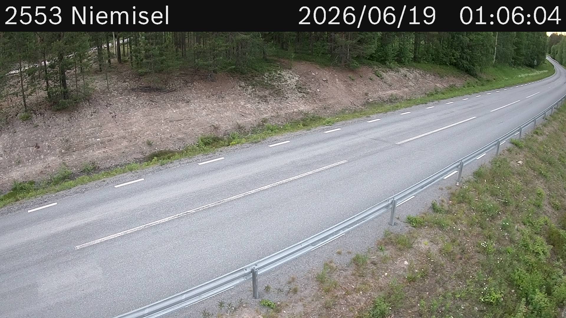 Niemisel