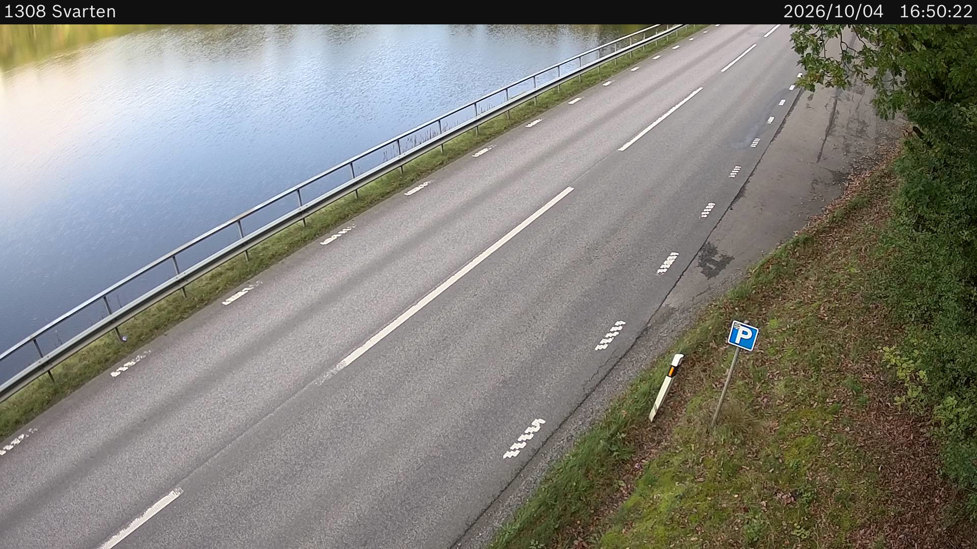 Vägkamera Svarten