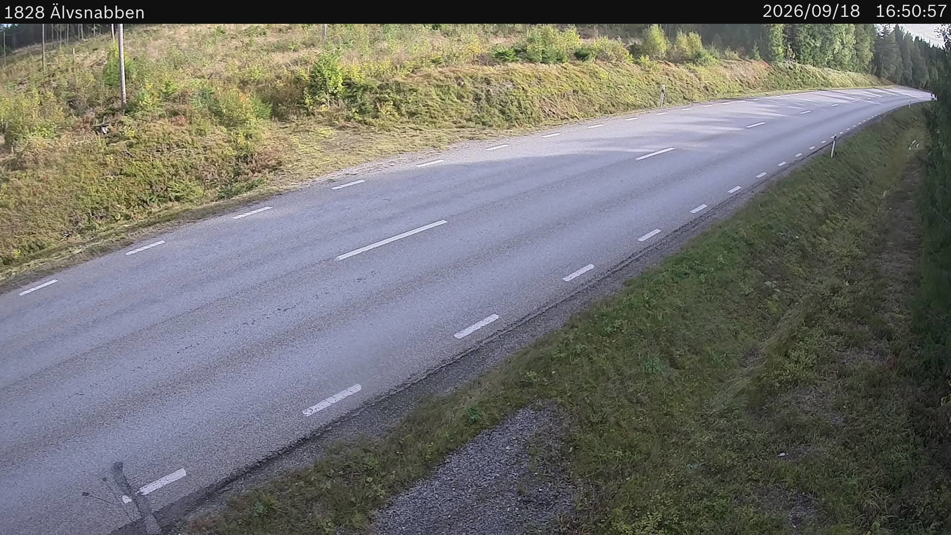 Älvsnabben