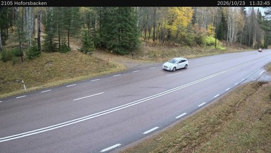 Hoforsbacken