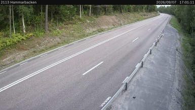 Hammarbacken