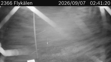 Flykälen