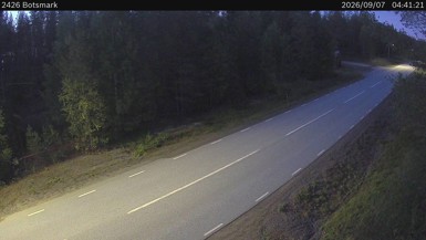Botsmark