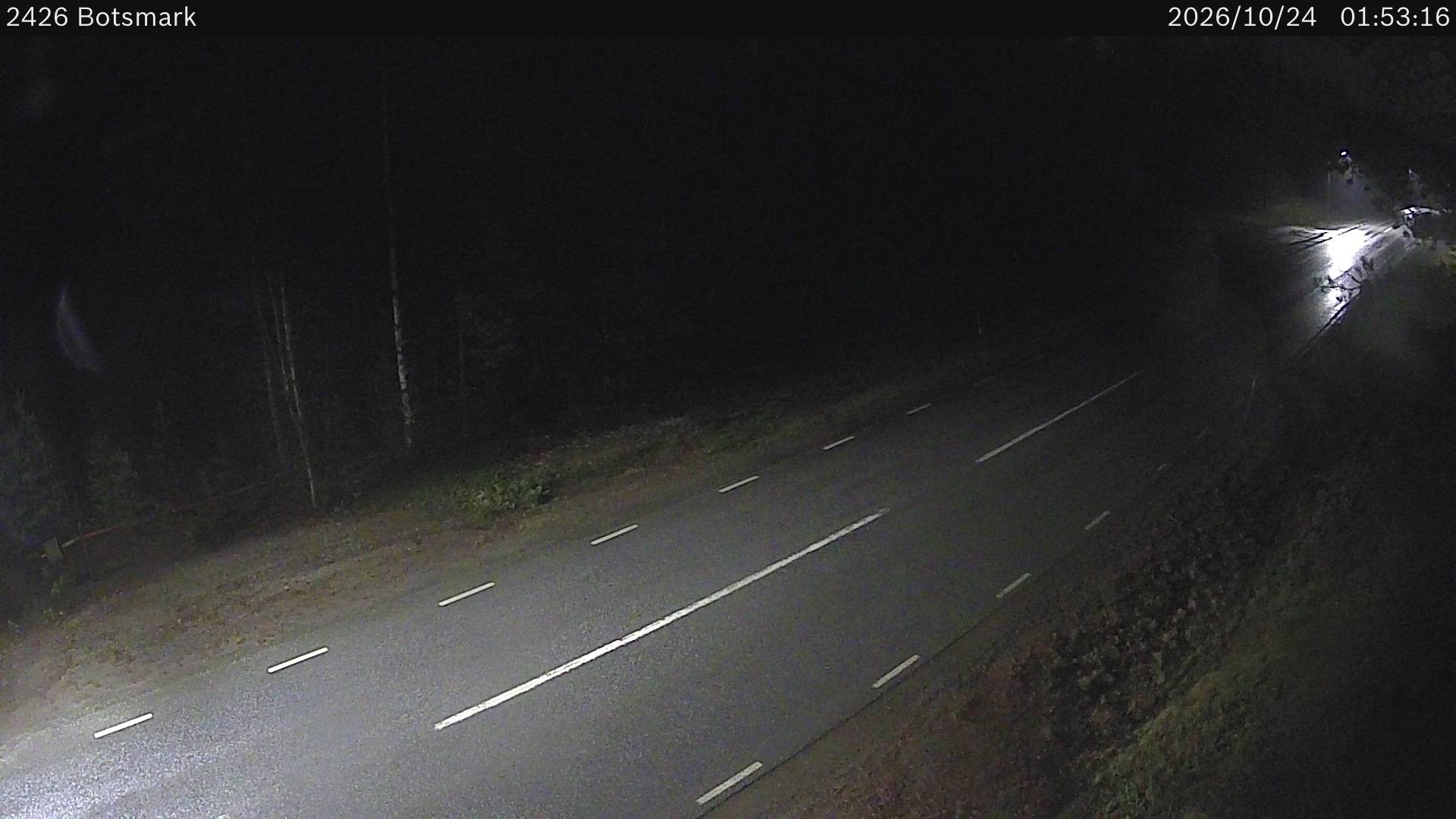 Botsmark