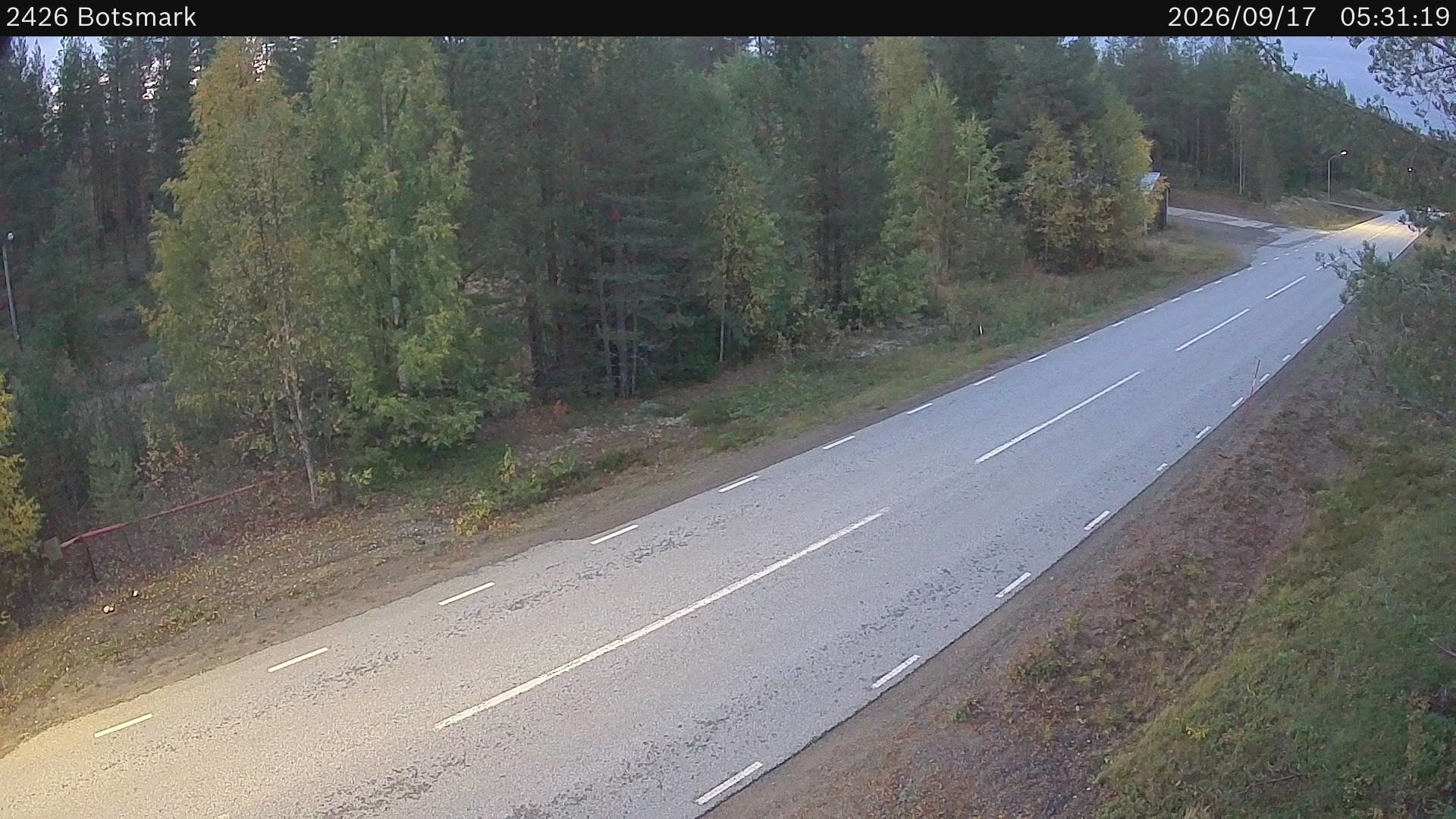Botsmark