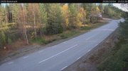 Botsmark