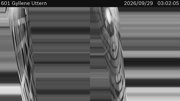 Gyllene Uttern