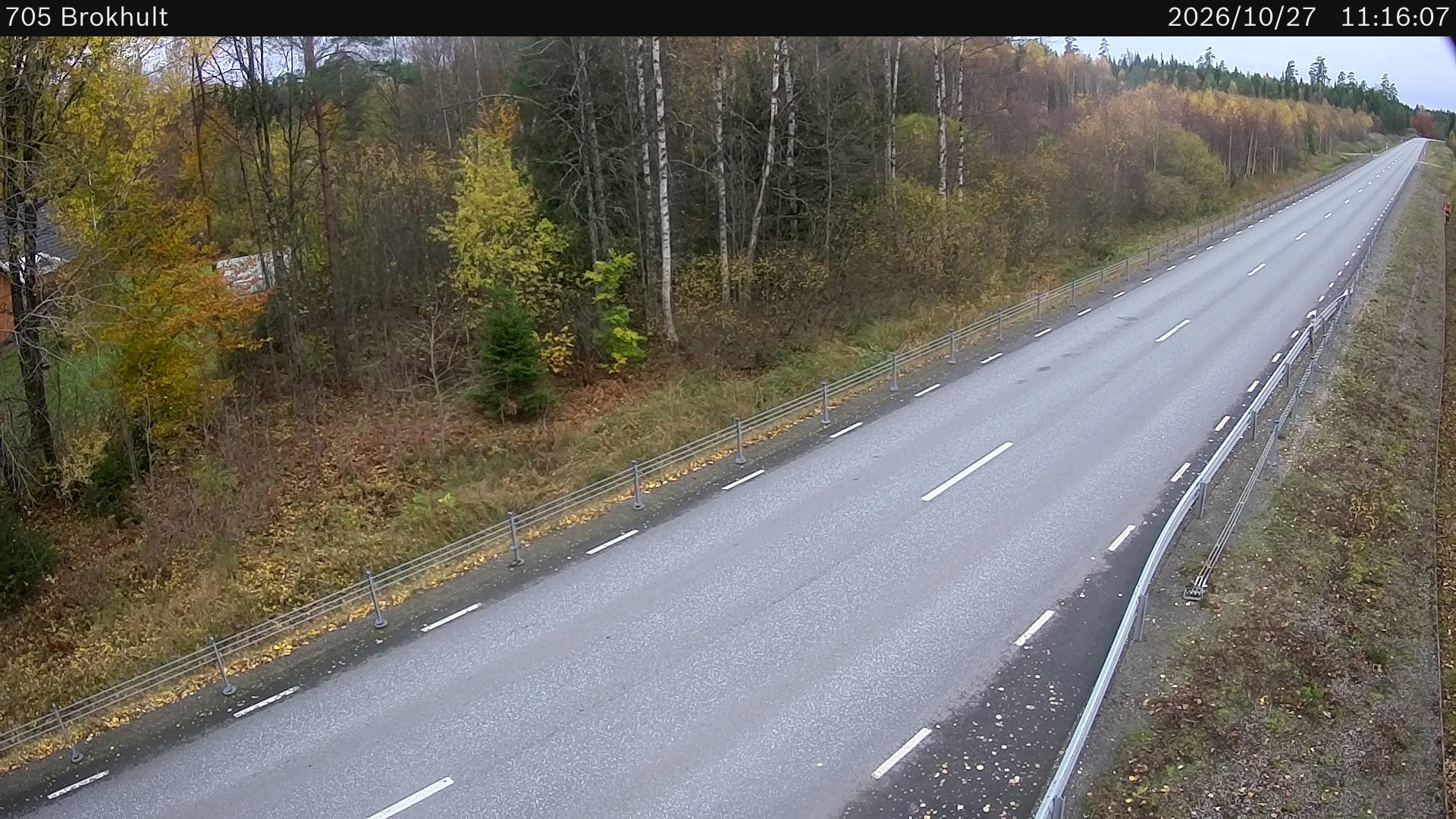 Vägkamera: Brokhult