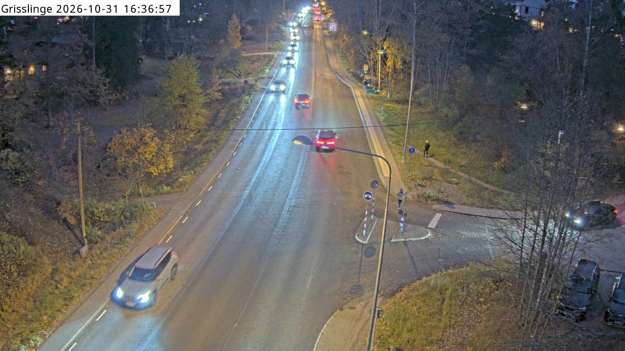 Trafikkamera Grisslinge