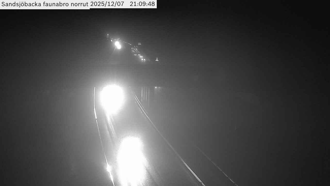 Sandsjöbacka faunabro norrut
