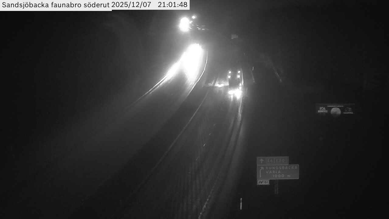 Sandsjöbacka faunabro söderut