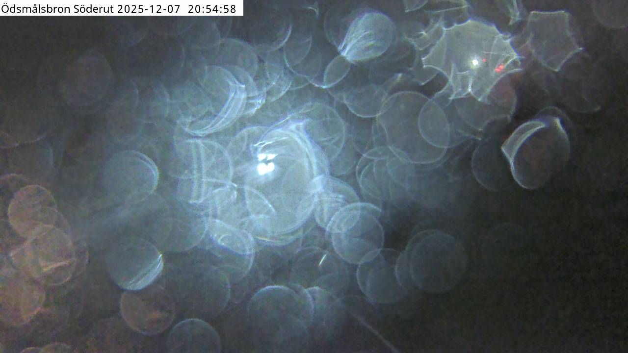 Ödsmålsbron söderut